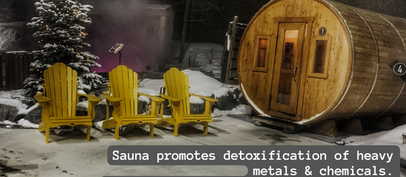 Sauna Benefits