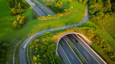 Biochar: from waste vegetation to construction materials