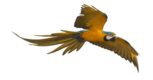 AdobeStock_259124824.png
