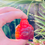 Thumbnail: Healing Buddha Carnelian Statue