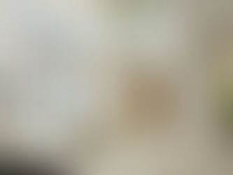 Un socio de confianza: Por qué centralizar sus servicios inmobiliarios es una buena idea