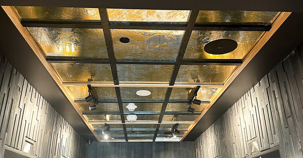 Luminux - ICON Building - Ceiling 7 11 25 02 PD-1R.jpg