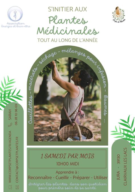 S'initier aux plantes médicinales: un rdv / mois