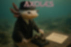 Ajolote Mexicano en xochimilco AXOLES