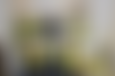 Barnet Drylining Academy