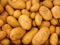 Potato Soup - Allergy Free CookBook