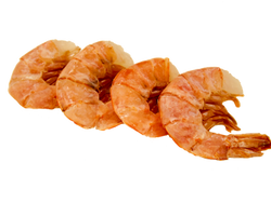 Shrimp Stir Fry - Allergy Free CookBook