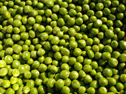 Pea Salad - Allergy Free CookBook