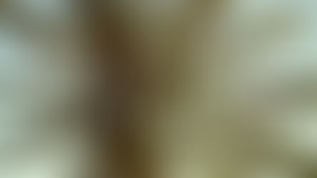 Venez découvrir "En mode voyage" Marrakech