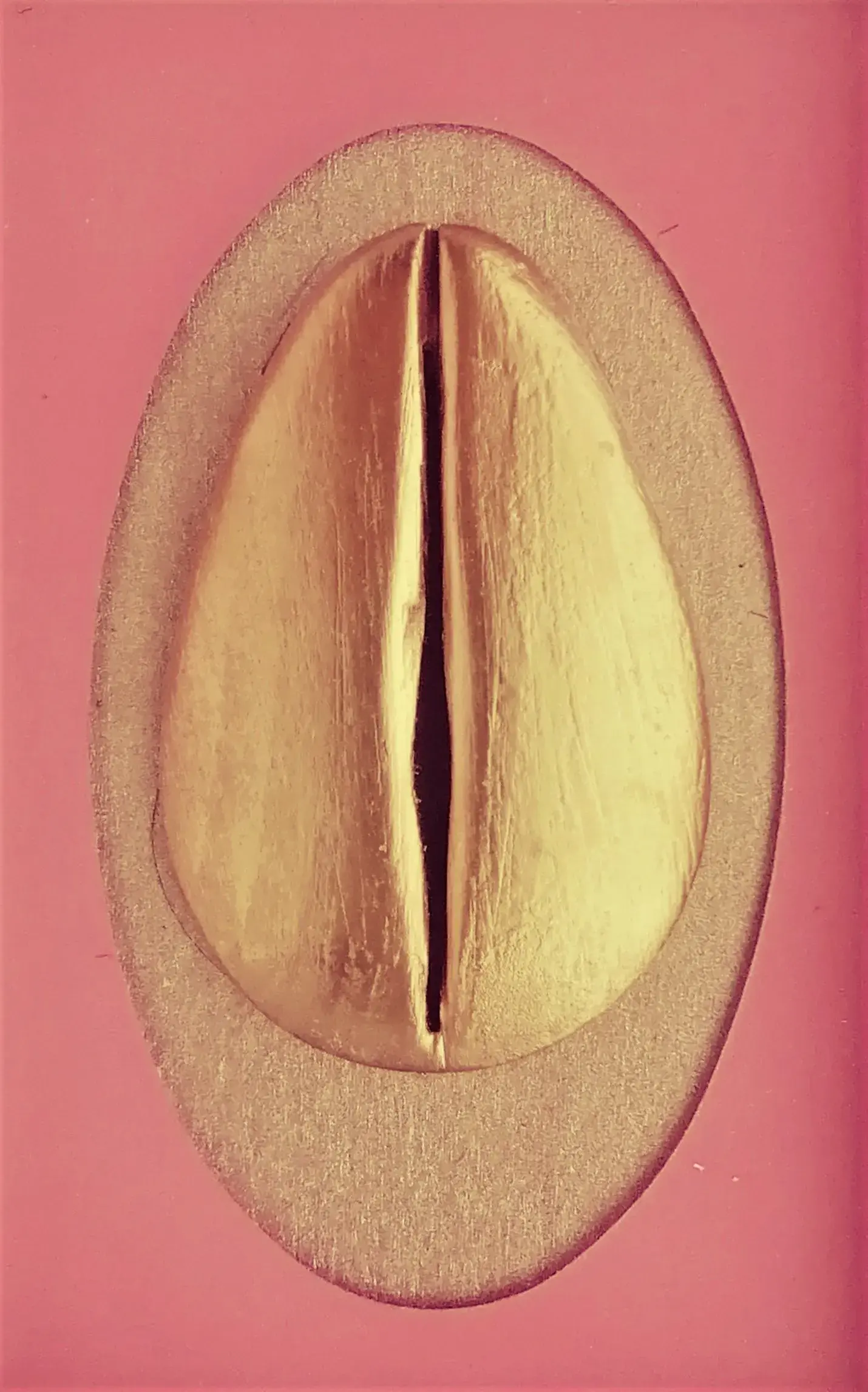 Camel Toe – Sensual Tactile Erotica