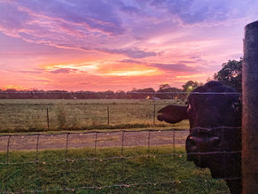 Documenting the Epic Sunsets