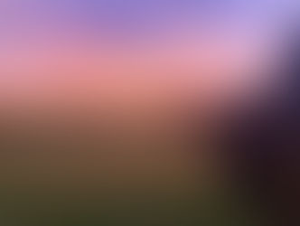 Documenting the Epic Sunsets