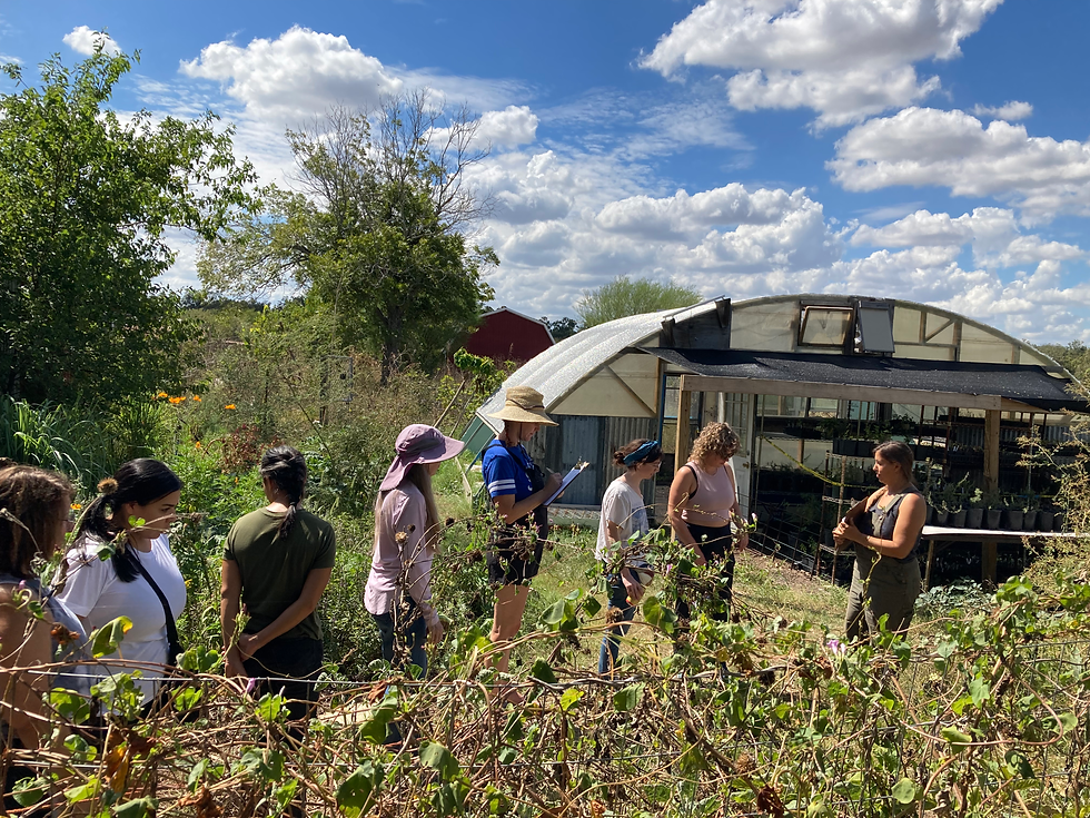 Herb Walk