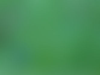 Growing Fennel in Central Texas