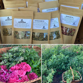 photo collage 1 - tea blends and herbs.jpeg