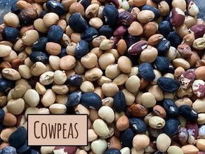 Cowpeas