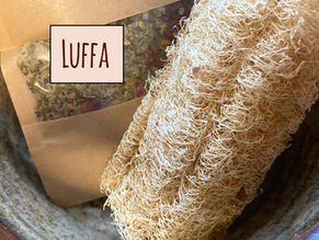 Luffa