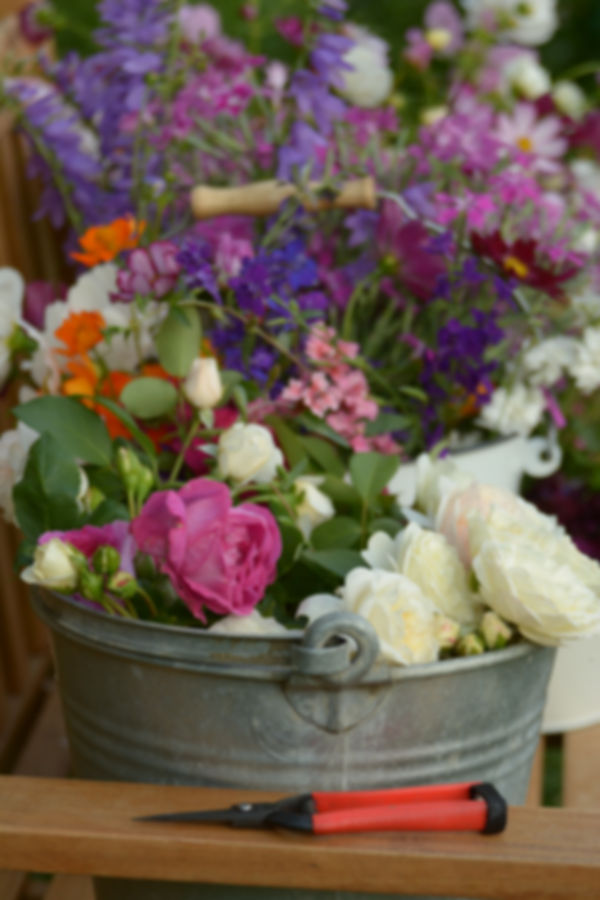 Mixed Bucket