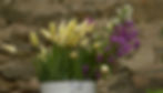 Miniaturbild: Mixed Bucket