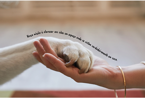 Fundos site-Artes NOSSA HIST-04-04-04-04.png