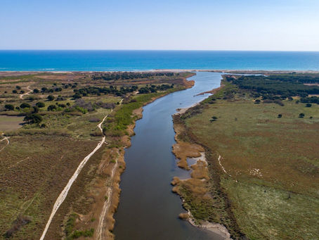 Location paddle Torreilles et Sainte-Marie (Bourdigou) : où louer et organiser votre sortie