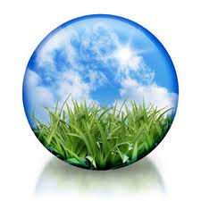 Cashmere Pashmina and Environment