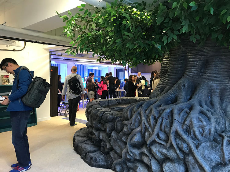 the harbour school, THS, marine biology, marine touch tank, aquarium ideas, biology, fish tank
