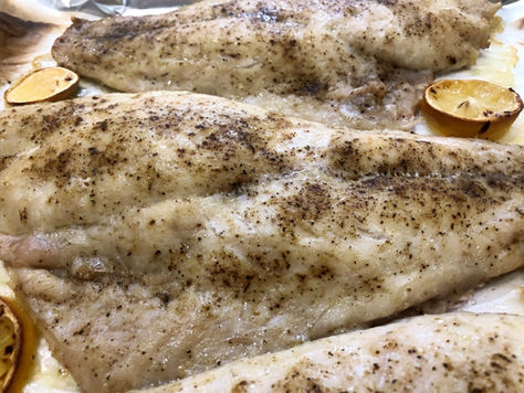 Red Snapper Fish