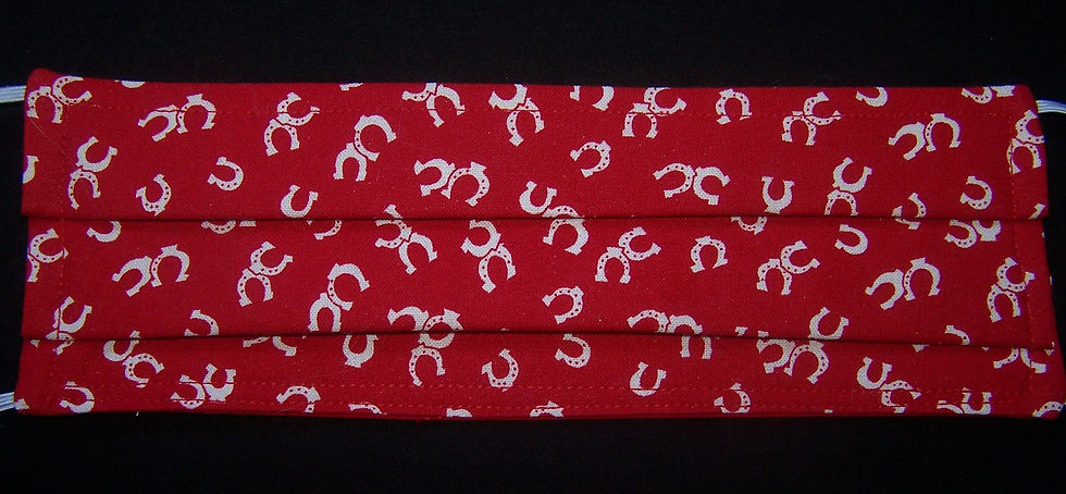 Horseshoes Face Mask