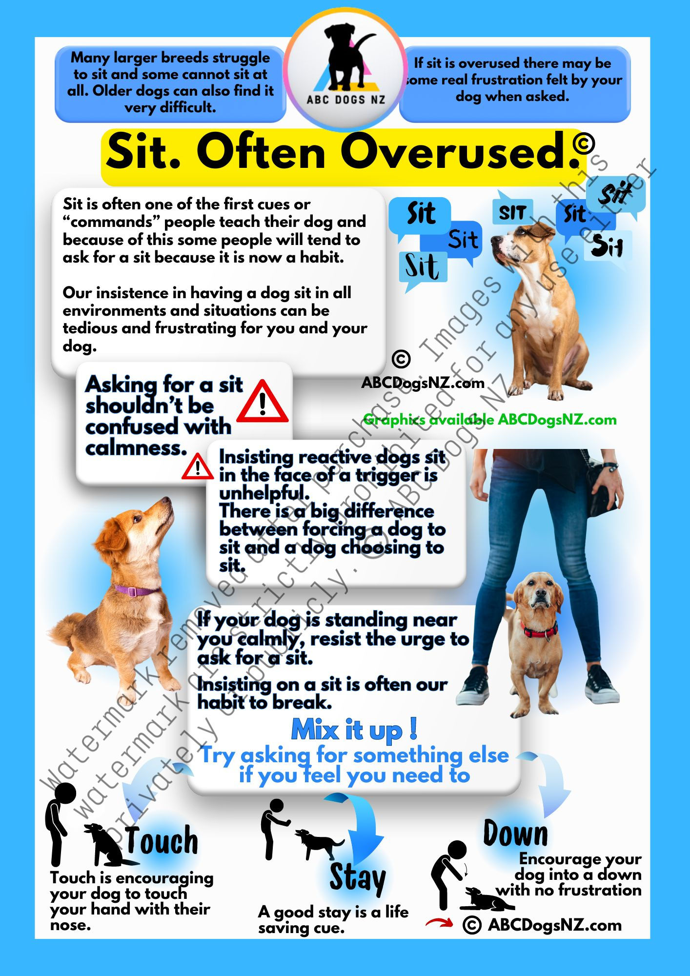 ABC Dogs NZ. Dog training handout about how we can overuse sit with dogs