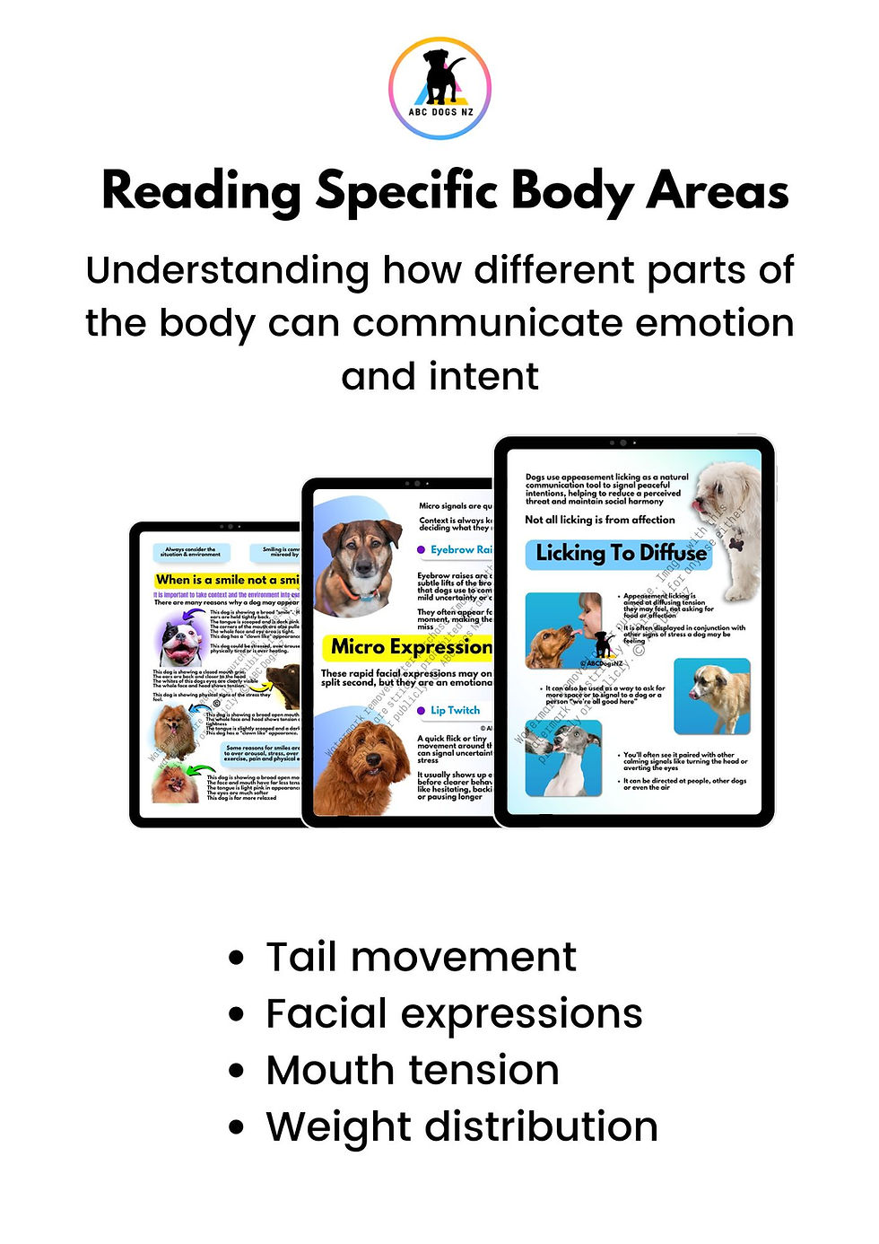 Thumbnail: How to read a dogs body language such as face, body, eyes and mouth