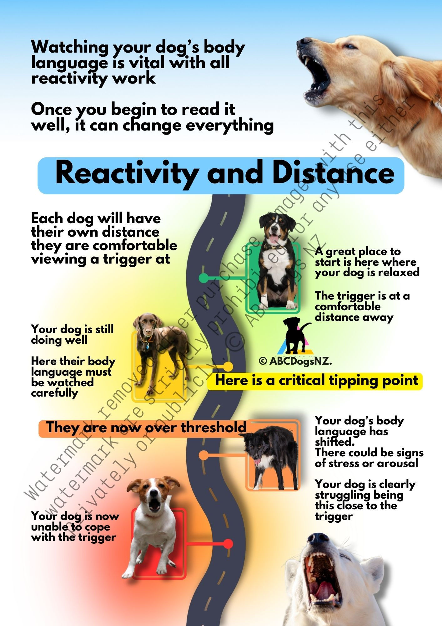 Reactivity and distance. ABC Dogs NZ. dog trainer handouts