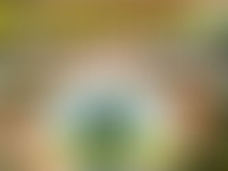 DELIVERANCE FROM MONITORING SPIRIT (ARABIC TRANSLATION) صلاه من اجل التحرير من ارواح العرافة