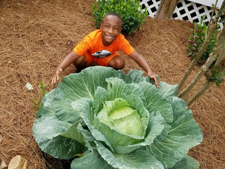 LVA Student Braylon Wright Wins $1000 For Growing A Giant Cabbage