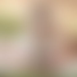 5 Must-Haves for Choosing the Right Chiropractor