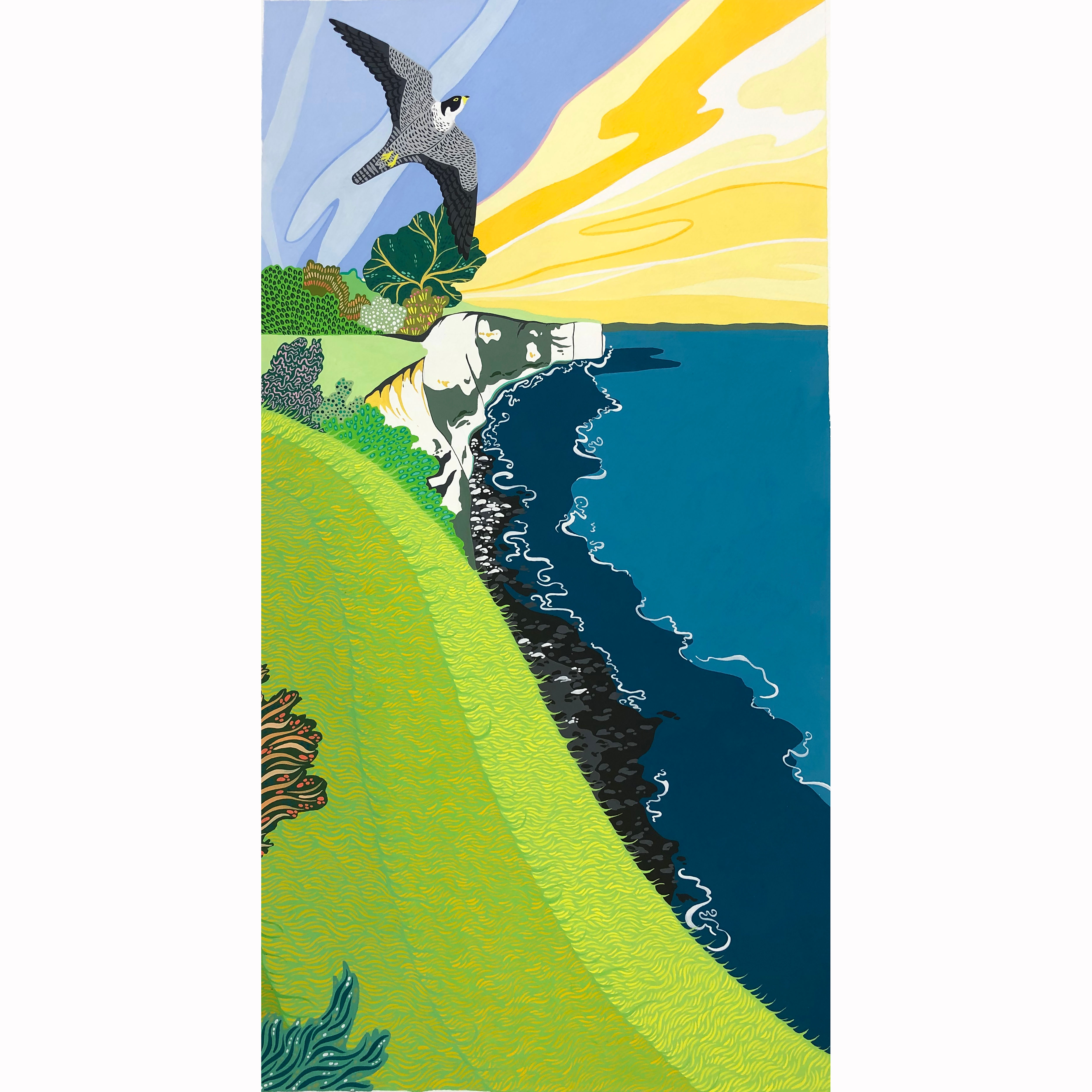 Peregrine towards Studland - PRINT - NICKY STOCKLEY