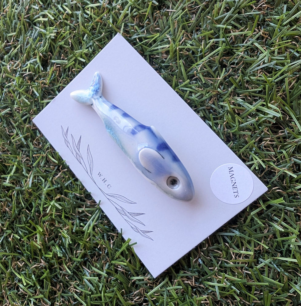 Thumbnail: Porcelain magnets - CERAMICS - JO MIDDLETON