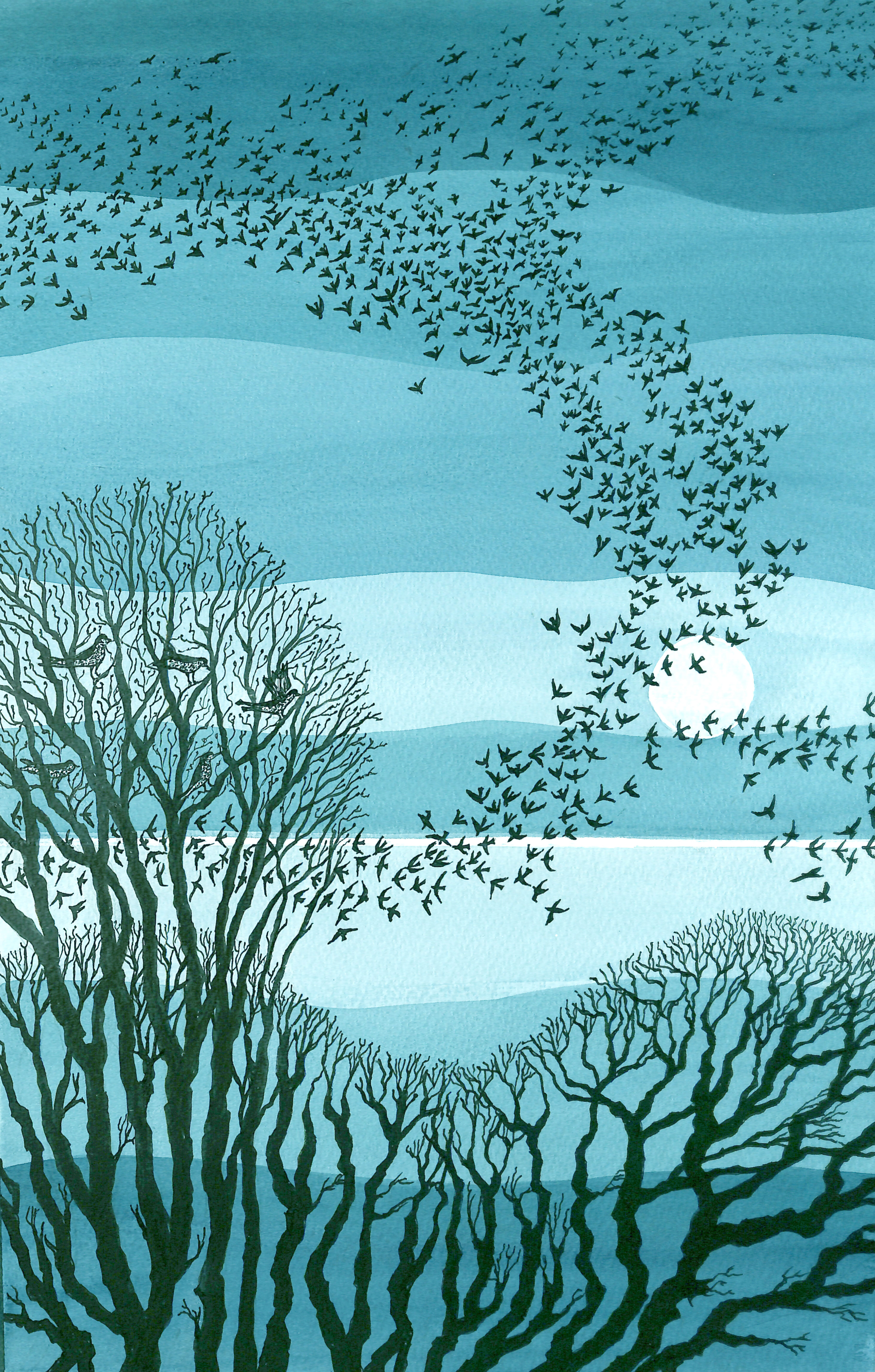 Swirling starlings - PRINT- GILL WILLIAMS