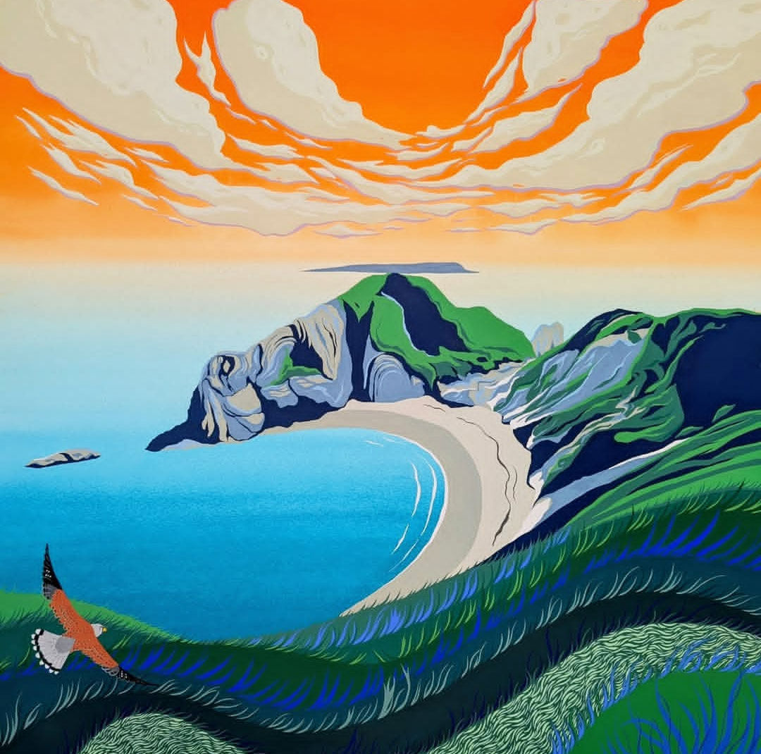 Kestrel at man o’war bay - PRINT - NICKY STOCKLEY