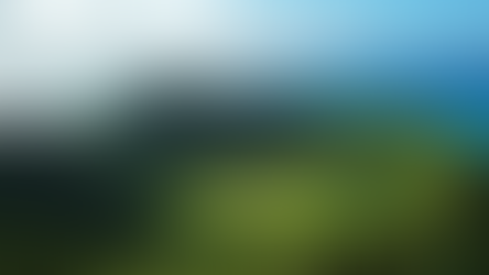 Top 5 Best Hiking Trails in Honolulu You Must Explore