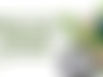 Caustic Soda Flakes and Their Role in Agriculture