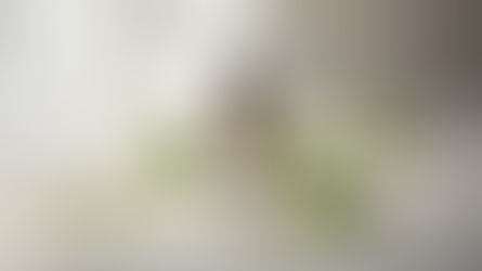 Menthone in Accord Building: A Professional Guide for Perfumers