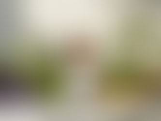 Matsutake Acetate травянистая, фруктовая и мятная молекула с высоким воздействием