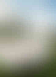 Bàn tiệc phong cách tối giản