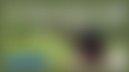 Profesyonel Demiryolu Hizmetleri Ulaştırma Şirketlerinin Verimliliğini Nasıl Artırır?