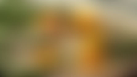 Terpinolene – Bright Citrus-Pine Monoterpene with Fresh Herbal Radiance