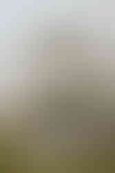 Bàn tiệc cưới ven biển