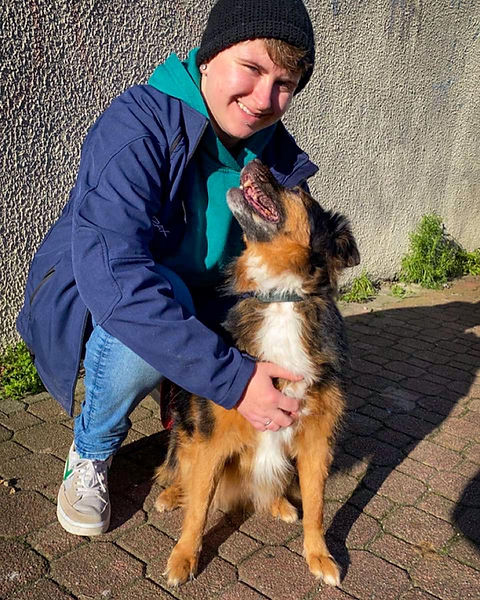 éducateur comportementaliste canin calais