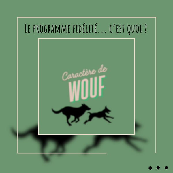 fidélité éducateur comportementaliste canin calais