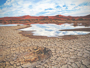 The Silent Crisis of Water Scarcity: Why the World Can’t Afford to Ignore It Anymore